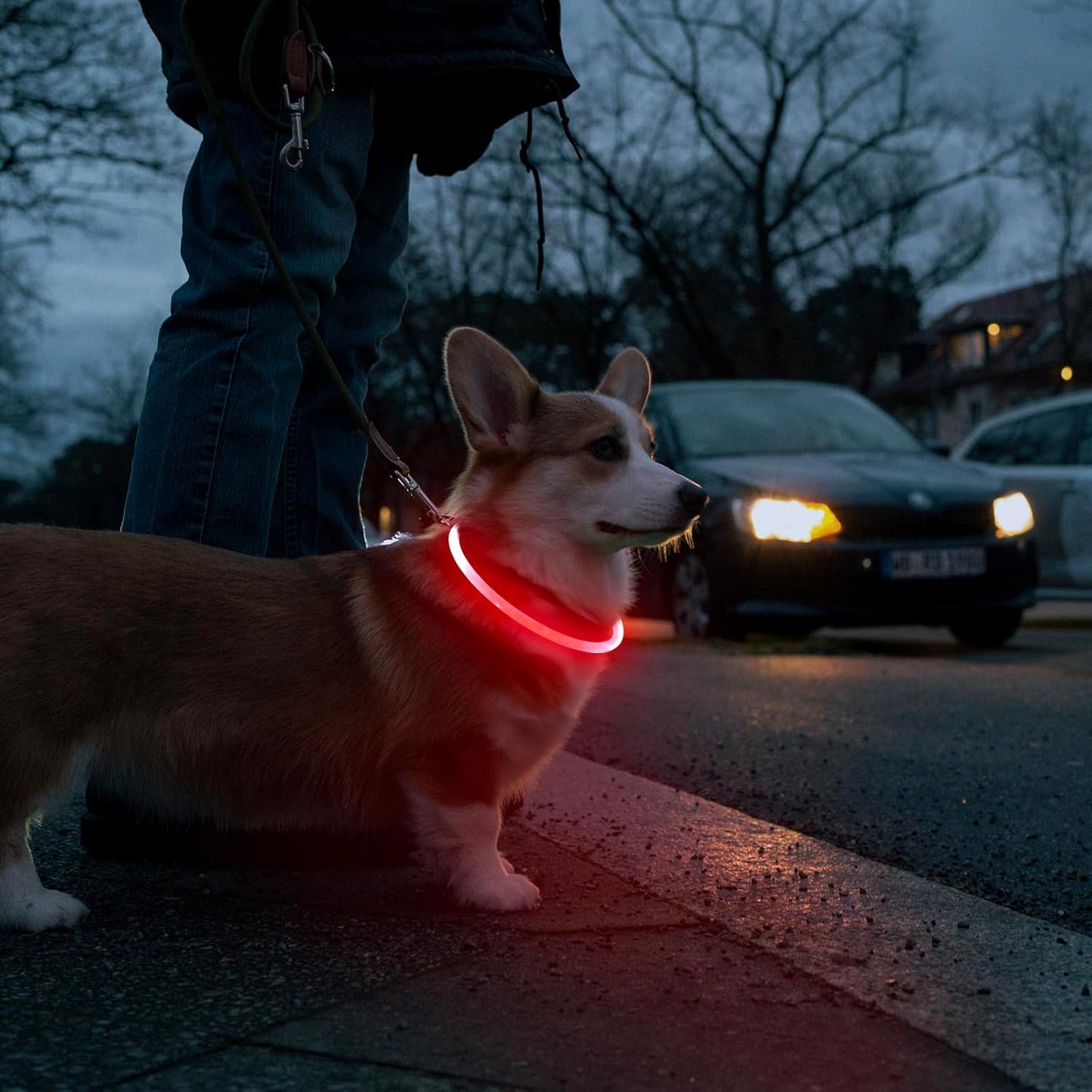 LED Dog Collar - USB Rechargeable Light up Dog Collar Glow in the Dark, LED Dog Necklace Light for Night Walking (Red)