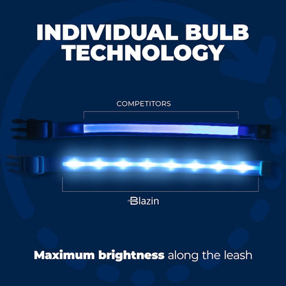 LED Light up Dog Collar - 1,000 Feet of Visibility - Brightest for Night Safety - USB Rechargeable with Water Resistant Glowing Dog Collar Light