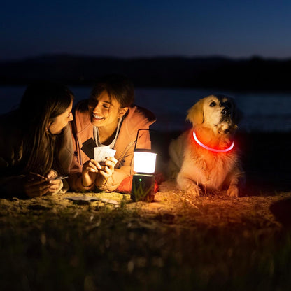 LED Dog Collar -  USB Rechargeable Light up Dog Collar Glow in the Dark, LED Dog Necklace Light for Night Walking (Red)