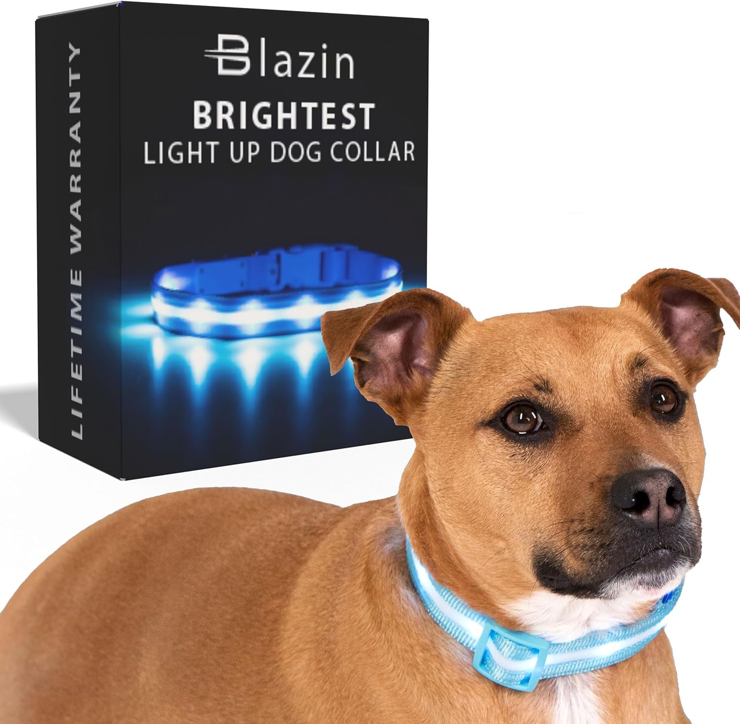 LED Light up Dog Collar - 1,000 Feet of Visibility - Brightest for Night Safety - USB Rechargeable with Water Resistant Glowing Dog Collar Light